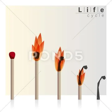 Match time lapse, Life cycle Stock Illustration