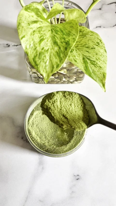 Matcha green tea making process Stock Footage 328571833