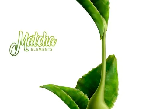 Matcha leaves element Illustrazione stock