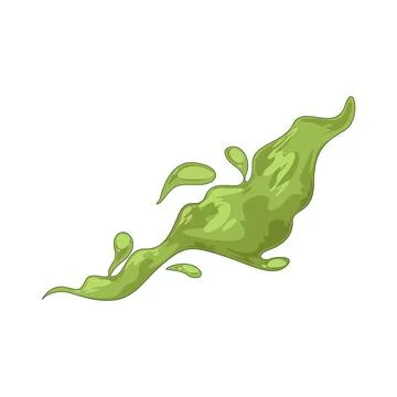 Matcha splash illustration Stock Illustration