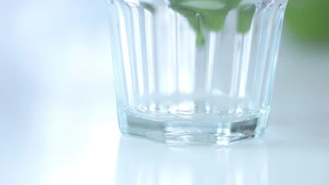 Matcha tea preparation in cafe by mixed race barman Stock Footage 87908623