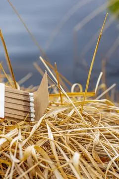The matchbox is placed in a dry grass, dry grass burns dangerously Stock Photos