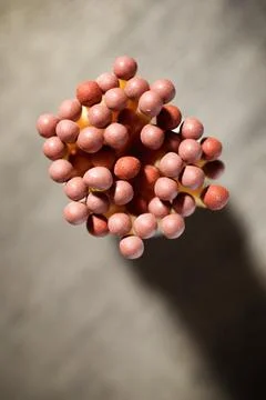 Matches close up Stock Photos