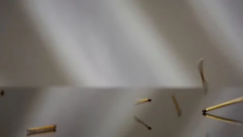 Matches Stock Footage 100405937