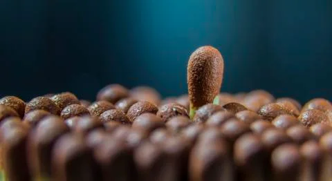 Matchstick close up Stock Photos