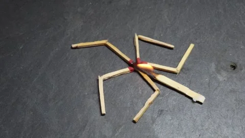 Matchsticks burns with a flame Stock Footage 342166177