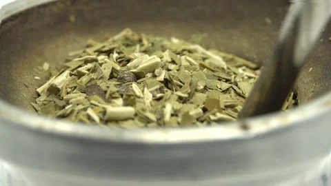 Mate Stock Footage 169656330