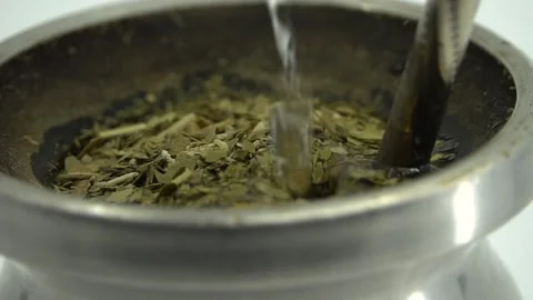 Mate Stock Footage 169656349