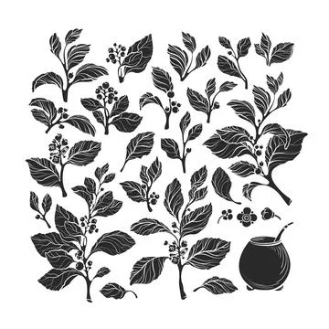 Mate set, calabash. Vector silhouette. Herb drink Stock Illustration