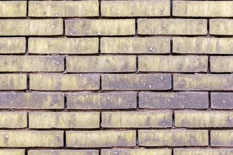 Material texture of beige yellow brick wall Stock Photos
