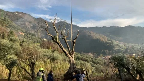 Material transport by helicopter 動画素材 146332263