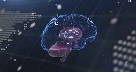 Materializing 3D brain model rotating with scrolling code and pulsing map Stock Footage 313308316