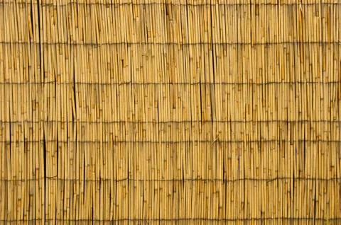 Materials - bamboo Foto stock