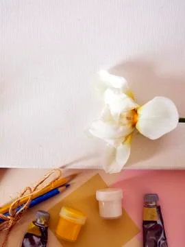 Materials for creativity and design, decorative composition Stock Photos