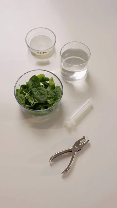 Materials for spinach leaf photosynthesis experiment on white table Vídeo Stock 331770127