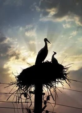 Maternity Foto stock