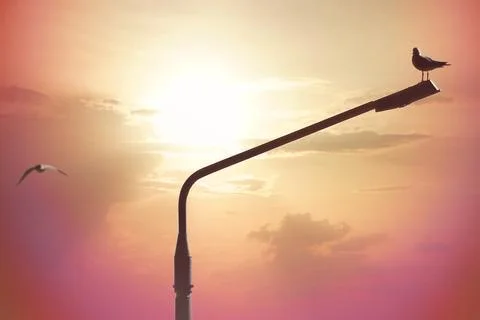 Mates Forever Stock Photos