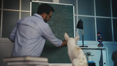 Math teacher explaining material near chalkboard to dog, funny classroom scene Stock Footage 313492952