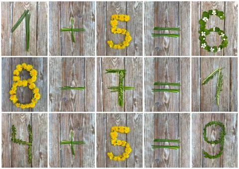 Mathematical examples for young children, numbers from grass and flowers. Stock Photos