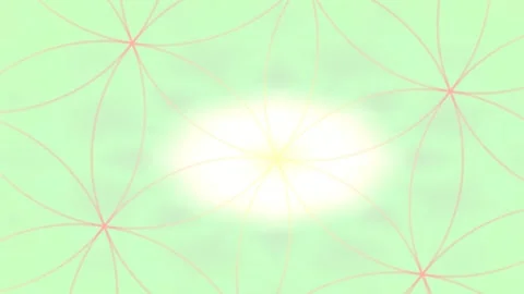 Mathematical Polar Geometry Symmetrical Botanical Motion Stock Footage 341787626