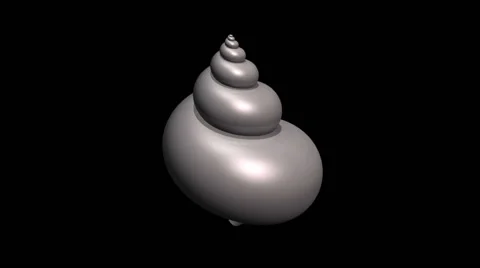 Mathematically generated seashell surface Stock Footage 64804482