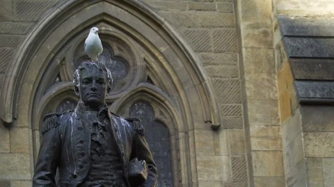 Mathew Flinders statue with a seagull on the head, Melbourne, Victoria, Stock Footage 96032967