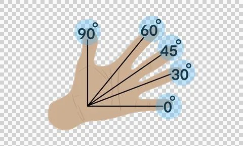 Maths, education, a hand with lines drawn from the base to each finger Stock Illustration