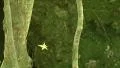 Mating - Banana Spiders - Golden Orb-Weaver HD Footage