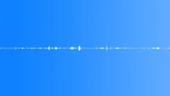 Mating FrogsSound Effect