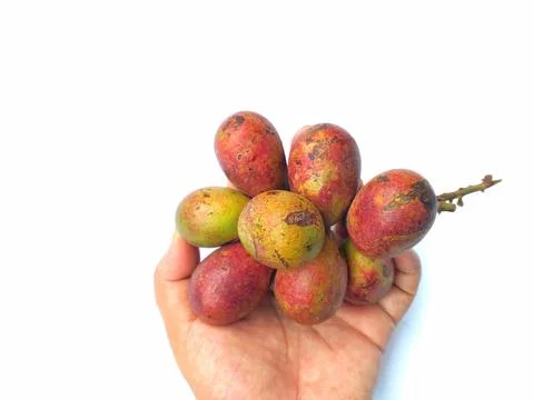 Matoa fruit Stock Photos