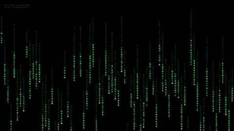 Matrix Code Digital Rain Effect Falling on a Black Background Representing .. 動画素材 347349533