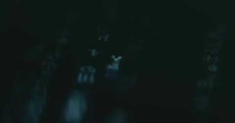 Matrix code with Japanese symbols background Stock Footage 313424182