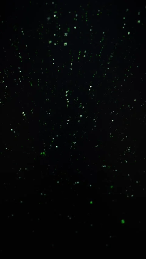Matrix Digital Code Rain Falling Vertically on Deep Black Background Stock Footage 334733815
