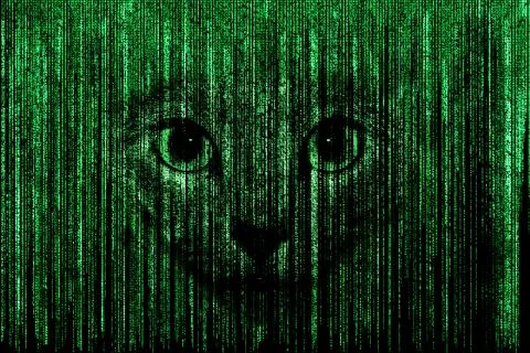 Matrix face Stock Illustration