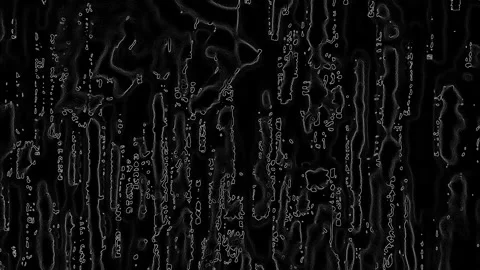 Matrix-inspired, Black and White Effect with Fractal Noise 스톡 동영상 150063915