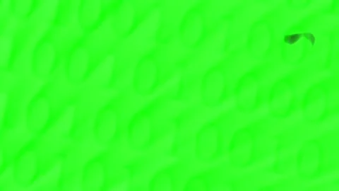 Matrix Style Binary Codes Jumping Numbers.Green Version.Seamless Loop. Stock Footage 143509945