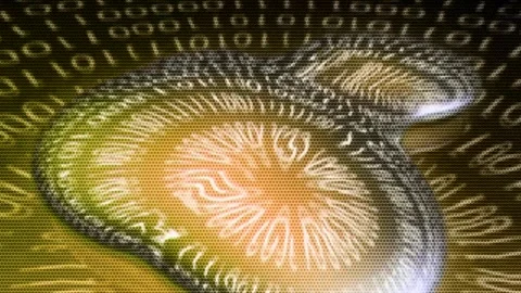 Matrix style randomly generated words letters numbers fonts characters symbols Stock Footage 270015759