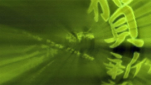 Matrix style randomly generated words letters numbers fonts characters symbols Stock Footage 270016140