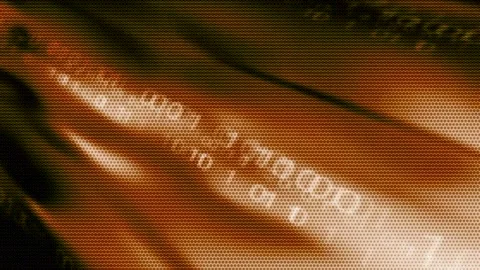 Matrix style randomly generated words letters numbers fonts characters symbols Stock Footage 270017703