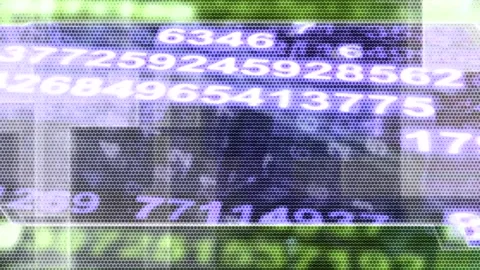 Matrix style randomly generated words letters numbers fonts characters symbols Stock Footage 270017740