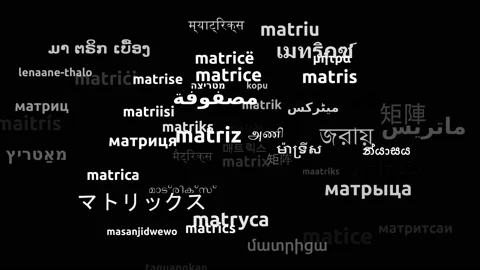 Matrix Translated in 52 Worldwide Languages Endless Looping 3d Zooming Wordcl Stock Footage 145193650