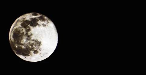 Matt Williams Stock Footage 186373599