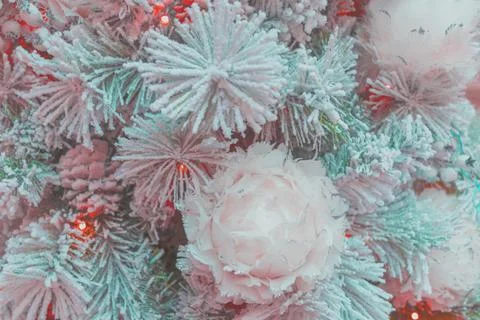 Matte blurred background of delicate feather flowers. Christmas background... Stock Photos