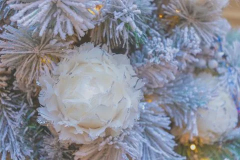 Matte blurred background of delicate feathery flowers. Christmas background i Stock Photos