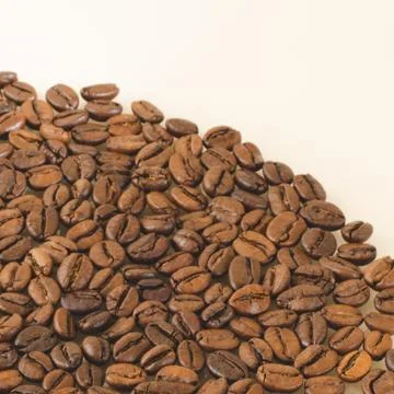 Matte coffee beans on a white background Stock Photos