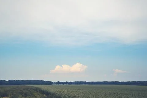 Matte landscape with rural fields Stock Photos