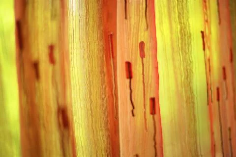 Matte tulle with vertical threads pattern, side view 写真素材