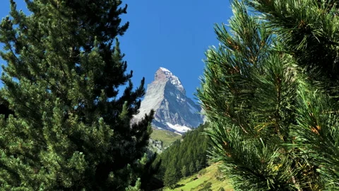 Matterhorn hidden behind pine trees in Zermatt Stock Footage 230156667