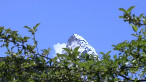 Matterhorn mountain with a pan down through leaves Stock Footage 114823995