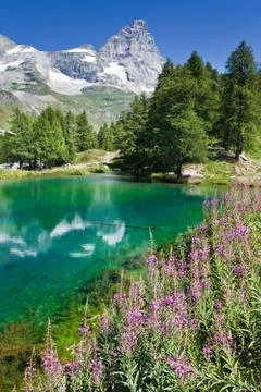 Matterhorn Stock Photos